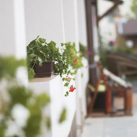 Guest house B.aden